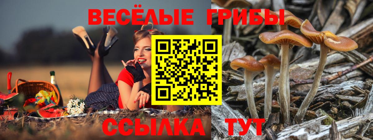 Псилоцибиновые грибы ЛСД Бердск