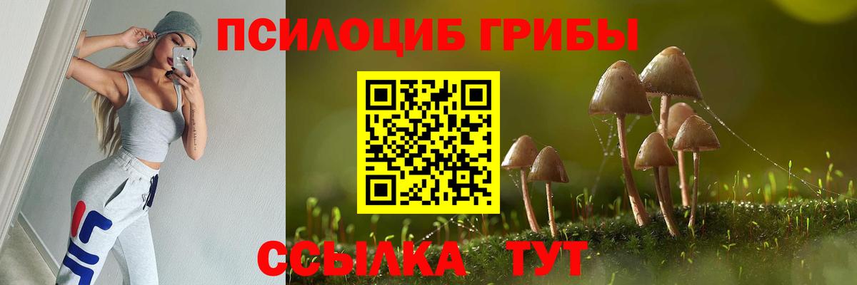 Галлюциногенные грибы MAGIC MUSHROOMS  цена   Бердск  Вход с VPN 